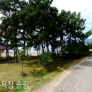 장선포2 네이버블로그