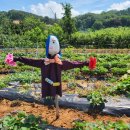 도영농장 이미지