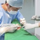 오스템임플란트(주) | 경기도 파주 임플란트 치과 3곳 (오스템 임플란트) 특징 알아보기