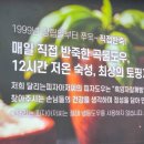 달리는피자아저씨 네이버블로그