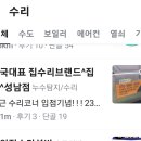 집고치는집