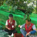 만복농장 이미지