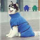 4675 쇼핑하우