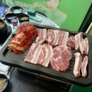생도야지