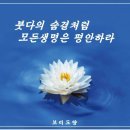 불기 2557년 부처님 오신 날 봉축 법회(2013. 5.17) 이미지