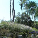 산67번지 이미지