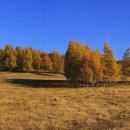 지산목장 이미지