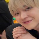 다온플래닛 | 끓는물에 손을 넣어보진 않았지만 뜨거운줄은 원래 알고있었고