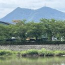 남원 교룡산 둘레길 7km 걸으며 씀바귀와 돌나물을 만나다.. 이미지