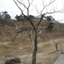 불암산성 이미지