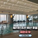시몬사 | 해운대 웨스틴 조선 부산 호텔 숙소 소개 수영장 후기