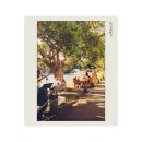 리브포투데이 | (뉴질랜드 북섬/파이히아) 2박3일 리프레쉬 여행. 파이히아+러셀+케이프레잉가, 페러세일링+샌드보딩...
