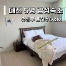 주식회사 은하수디앤엠(D&M) | 대전 감성숙소추천 은하수디앤엠 5인 청초셋 숙박 장단점 후기