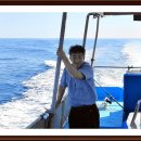 동해세꼬시 이미지