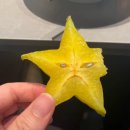 구로-구로-구로-1210 | [2025년 12월 上 ] 쇠똥구리는 똥을 굴린다. 그러면 너구리는...?