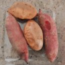 (주)꼬끼오 강화갑곳리점 | 인천강화도맛집후기| 강화풍물시장 33년 전통 원조 밴댕이 회맛집 왕창잘되는집👍👍(ft. 강화 꿀고구마 후기)