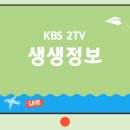 김평화의한우마을 | [2TV 생생정보 2400회] 힘쓰니까 청춘이다 ‘오늘도 칼을 잡는다! 4년 차 여자 정육사’ 가게 정보 소개