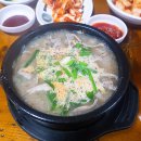 충남순대 - 유성구 봉산로40번길 24 | 충남순대