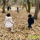 자연유아학교 이미지