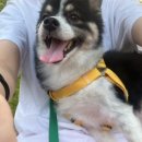 원도안로-24 이미지