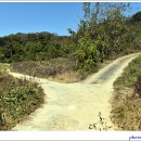 불목농장 이미지