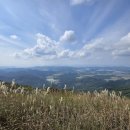 이쁘다 멍 이미지