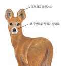 축산물도소매 이미지