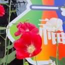 더드림반찬 이미지
