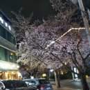 막창도둑 동촌점 | 대구동촌유원지 막창전문점 막창도둑