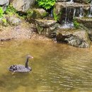 옛골가든 이미지