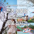 (사)전주시장애인정보교환센타 | 전주 동물원 벚꽃길 드림랜드 입장료 놀이기구 실시간 개화 상태 공유(25.4.2기준)