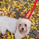 산책하는날 이미지