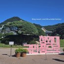 용산-현장-1869 | 청와대 관람 후기 - 소중한 경험, 7월 관람일정