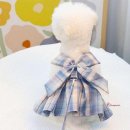 코디애견샵 이미지