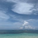 🏊시원한 여름 보내세요~~🏊 이미지