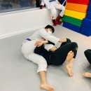 주짓수 복싱 이미지