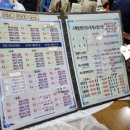 돌고래회수산 이미지