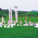 조선장 이미지