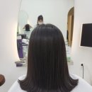 엘헤어 이미지