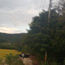 동산흑염소농장 이미지