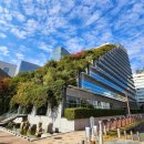 놀라움마트 | [추석 일본 큐슈-19]후쿠오카 빵맛집 "빵스톡"오픈런 1시간 웨이팅 후기..싸고 맛있어서 놀라움