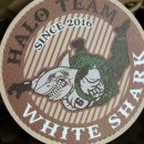 Team Shark 이미지