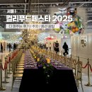 오예예마켓 | 컬리푸드페스타 2025 오픈런 후기 주차 동선 꿀팁