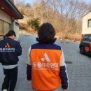 연대 | 펫로스로 유기견 봉사활동 고민 중이라면 꼭 보고 준비해가세요❗️(서울 동물자유연대 후기)