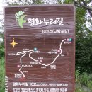 고랑포길 이미지