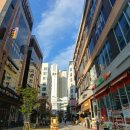 도담동싱싱장터앞BRT 이미지