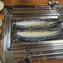 솔토장어 이미지