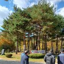 광장30호 | 용문산 단풍 명소 &amp; 은행나무 절정 시기 주차 맛집 후기