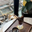 우도해남펜션 이미지