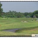 [필리핀 골프] 오차드 골프 클럽(ORCHARD) [필리핀 여행] 이미지
